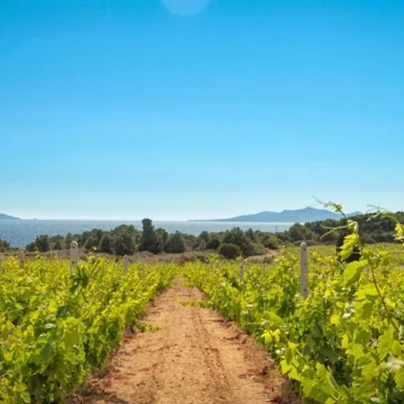 La Casetta بيت للعطل Giba